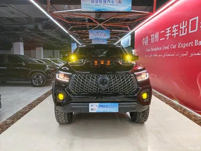 2023 Great Wall Pao 2.0T Commercial Auto Diesel 4WD Elite Long Box GW4D20M, фото 2, лот 10364258