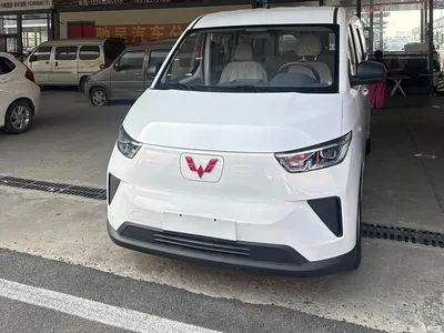 2025 Wuling Motors Wuling Yangguang 400km Bus Comfort Edition, фото 1, лот 11520338