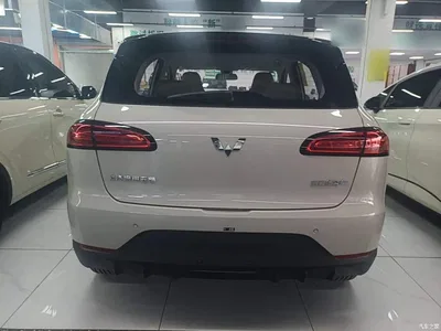 2024 Wuling Motors Wuling Binguo PLUS 401km Range 5-seater, фото 4, лот 10836104