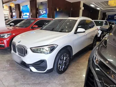 2020 BMW X1 sDrive25Li Leading Model, фото 2, лот 10467420
