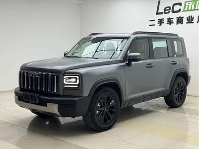 2025 Haval Menglong 2.0T 4WD Ultra, фото 1, лот 10281573