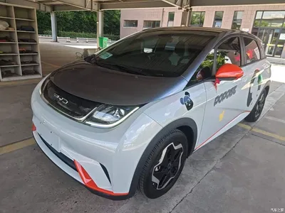 2021 BYD Dolphin Model 405km Fashion Edition, фото 1, лот 10387170