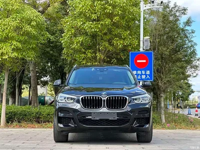 2019 BMW X3 xDrive30i Leading M Sport Package, фото 2, лот 11396706