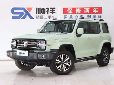 2021 Tank 300 Urban Edition 2.0T Stylish, фото 1, лот 10344068