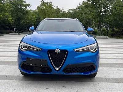 2020 Alfa Romeo Stelvio 2.0T 280HP Luxury Sport Edition, фото 2, лот 10239847