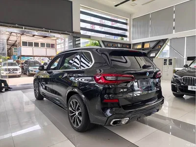 2022 BMW X5 Facelift xDrive 30Li Premium M Sport Package, фото 4, лот 10462971