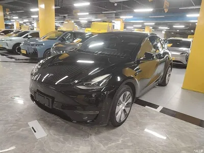 2021 Tesla Model Y Standard Range Rear-Wheel Drive, фото 2, лот 10370214