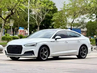 2017 Audi A5 (Import) Sportback 40 TFSI Fashion, фото 1, лот 10424283