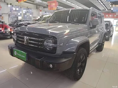 2021 Tank 300 Urban Edition 2.0T Stylish, фото 2, лот 11460644