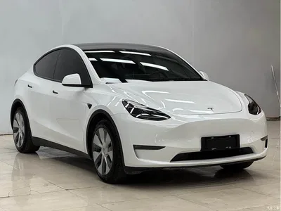 2021 Tesla Model Y Standard Range Rear-Wheel Drive, фото 3, лот 10392938