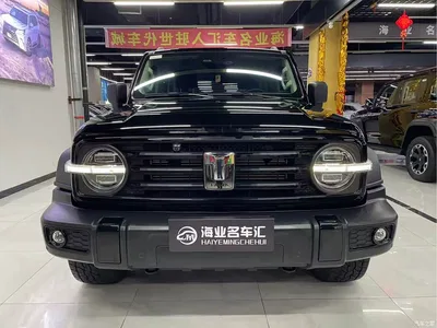2021 Tank 300 Off-road Version 2.0T Conqueror, фото 2, лот 10394779