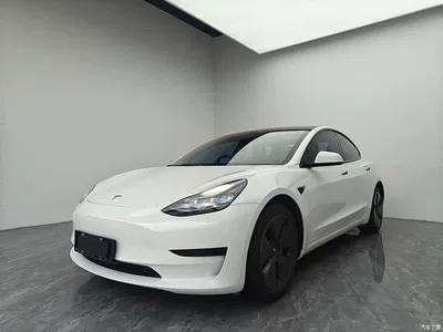 2021 Tesla Model 3 Standard Range Rear-Wheel Drive Upgrade, фото 1, лот 11459803