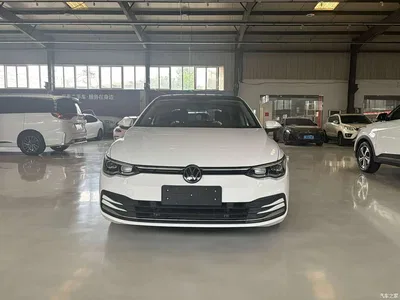 2021 Volkswagen Golf 280TSI DSG Pro Launch Edition, фото 2, лот 10451134