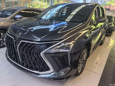 2023 Dongfeng Fengxing Yacht 1.5T DCT Starlight Luxury, фото 4, лот 11159310