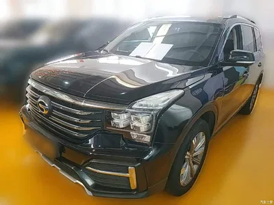 2020 GAC Trumpchi Trumpchi GS8 390T AWD Luxury Smart Connect Anniversary Edition (7-Seater), фото 1, лот 10423313