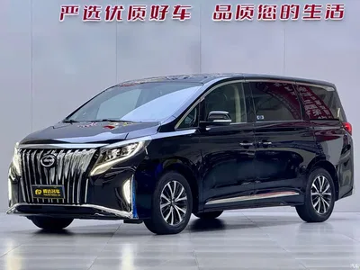 2024 GAC Trumpchi Trumpchi M8 Leadershow Series 390T Premium Edition, фото 1, лот 10769261