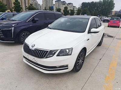 2019 Škoda Octavia 1.5L Automatic Smart Luxury China VI, фото 1, лот 10347814