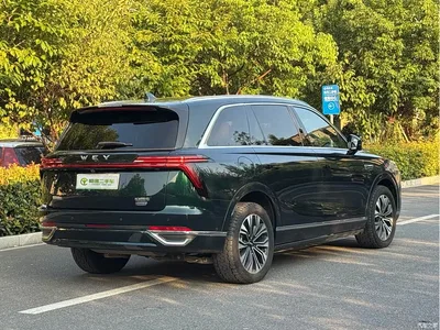 2023 WEY Lanshan AWD Ultra Long Range Edition, фото 3, лот 10452156