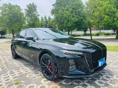2025 Hongqi H5 2.0T Automatic Mystic Shadow, фото 3, лот 10288000