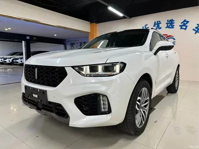 2017 WEY VV5 2.0T Super Luxury Model, фото 1, лот 10451824