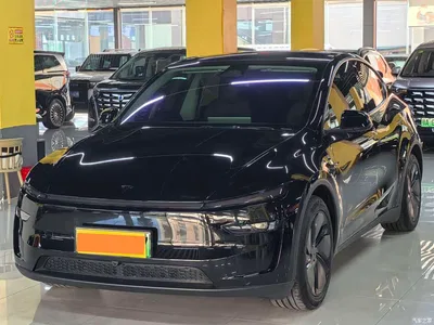 2025 Tesla Model Y Facelift Long Range All-Wheel Drive, фото 1, лот 11583234