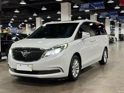 2017 Buick GL8 ES 28T Comfort Type China V, фото 3, лот 10255623