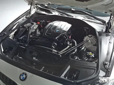 2016 BMW 5-Series 520d M Aero Dynamic, фото 4, лот 10061808