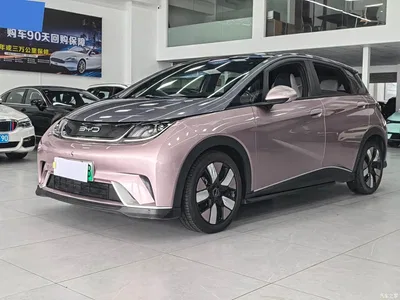 2021 BYD Dolphin 401km Knight Edition, фото 1, лот 10256782