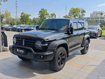 2021 Tank 300 Off-road Version 2.0T Conqueror, фото 1, лот 10404025