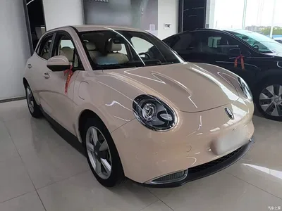 2022 Ora Good Cat 400km Standard Range Luxury NMC, фото 4, лот 11003348