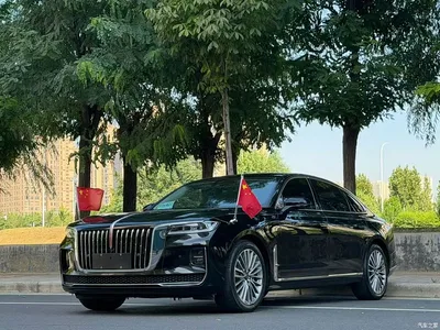 2020 Hongqi H9 2.0T Smart Connection Qi Xiang Edition, фото 1, лот 10288903
