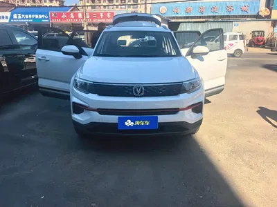 2021 Changan CS35 PLUS Glory Million Edition 1.6L Manual Luxury, фото 2, лот 11583406