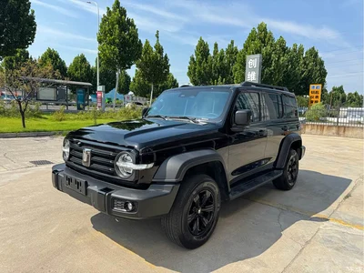 2024 Tank 300 Model 2.0T Challenger, фото 1, лот 10345059