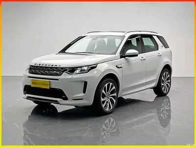 2020 Land Rover Discovery Sport 249PS R-Dynamic Performance, фото 1, лот 11095628