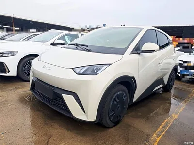2024 BYD Seagull Glory Edition 305km Vitality Edition, фото 1, лот 10262964