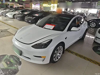 2021 Tesla Model 3 Standard Range Rear-Wheel Drive Upgrade 3D6, фото 2, лот 10370430