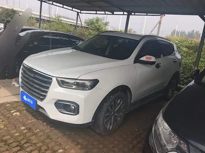 2020 Haval H6 2.0GDIT Automatic Platinum Champion Edition, фото 1, лот 11243549