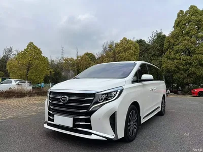 2021 GAC Trumpchi Trumpchi M8 Leading Show Series 390T Prestige Edition, фото 1, лот 10424000