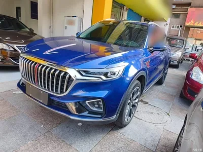 2019 Hongqi HS5 2.0T Smart Connect Enjoy 4WD Edition, фото 1, лот 10289422