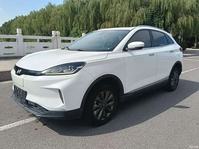 2018 Weltmeister EX5 400 Lite Explorer Edition, фото 1, лот 11565276