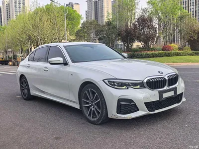 2020 BMW 3 Series 320Li M Sport Package, фото 2, лот 11586189