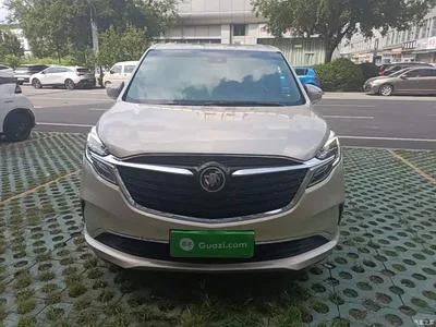 2021 Buick GL8 ES Landlord 653T Premium, фото 3, лот 10262271