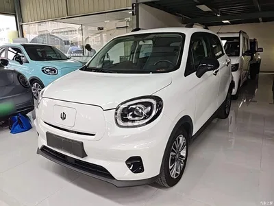 2025 Leapmotor T03 Model 403 Comfort Edition, фото 1, лот 10441671