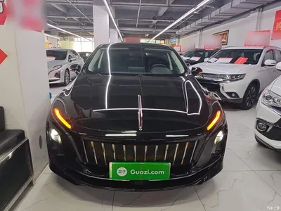 2021 Hongqi E-QM5 Ride-hailing Charging Basic Edition 5-seater, фото 3, лот 10360530