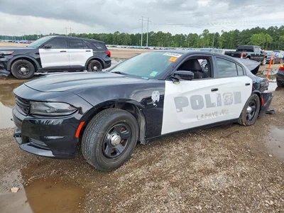 2019 DODGE CHARGER POLICE, фото 1, лот 10796754