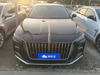 2025 Hongqi H5 1.5T DCT Flag Rhythm 500,000 Units Memorial Edition, фото 2, лот 11584475