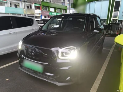 2022 Leapmotor T03 Star Diamond Edition, фото 1, лот 11448361