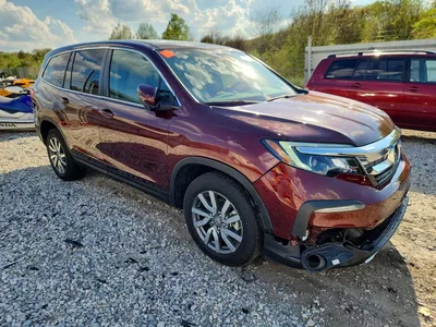 2020 HONDA PILOT EXL, фото 4, лот 11589976