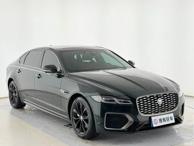 2023 Jaguar XFL 2.0T P250 2WD Elite Sport Gilded Edition, фото 3, лот 10360589