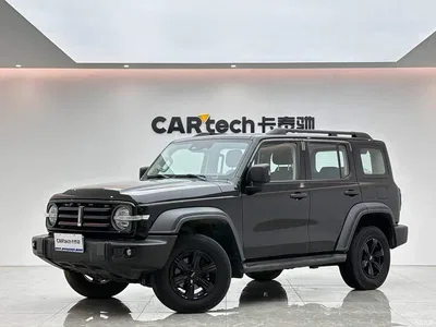 2021 Tank 300 Off-road Version 2.0T Conqueror, фото 1, лот 10765196